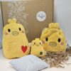 Coffret "Poussin"